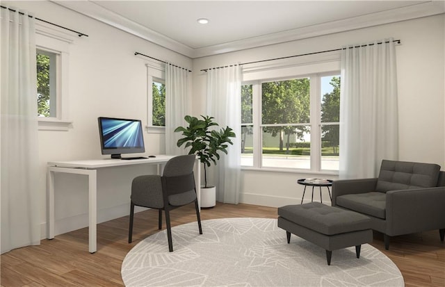 office space with crown molding and hardwood / wood-style floors