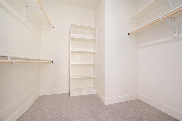 walk in closet with carpet floors