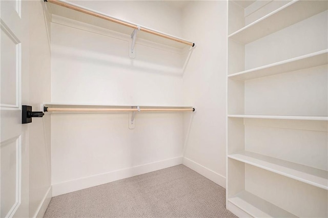 spacious closet featuring carpet floors