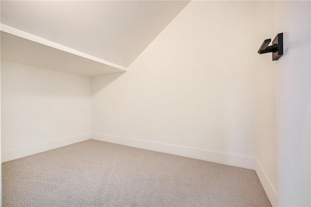 walk in closet with light carpet