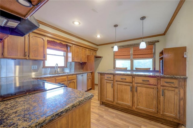 kitchen featuring pendant lighting, crown molding, sink, stainless steel dishwasher, and light hardwood / wood-style floors