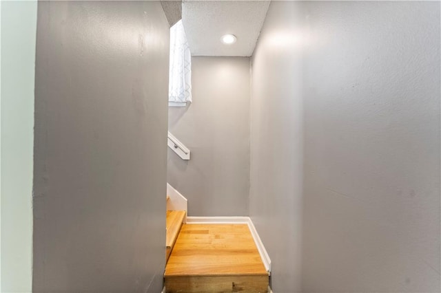 staircase with wood-type flooring