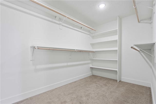 walk in closet with carpet flooring