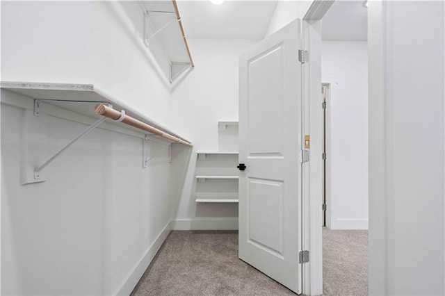 spacious closet with light carpet