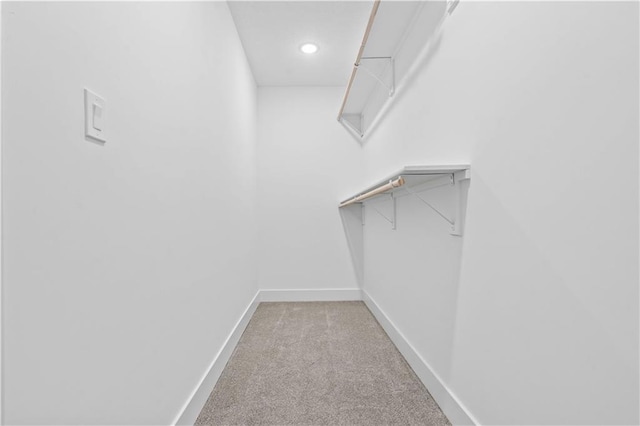 walk in closet featuring carpet flooring