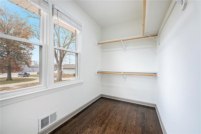 spacious closet with wood-type flooring