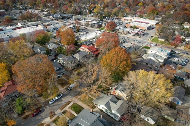 bird's eye view