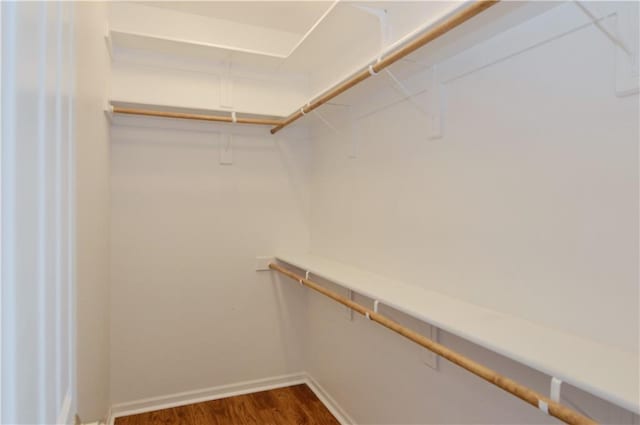 walk in closet featuring dark wood-type flooring