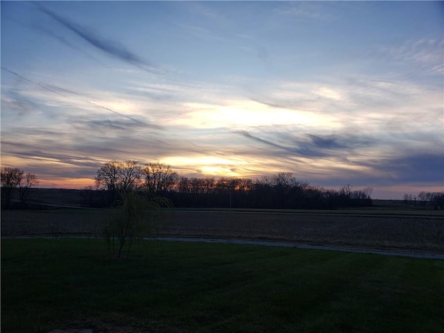 yard at dusk with a rural view