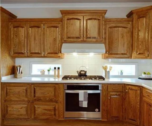 kitchen with ornamental molding, appliances with stainless steel finishes, range hood, and backsplash