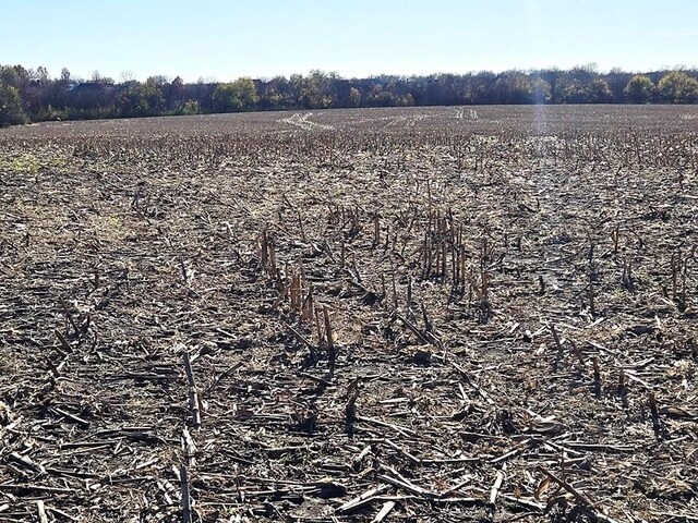 13104 M 7 Hwy, Greenwood, MO 64034 - photo 10