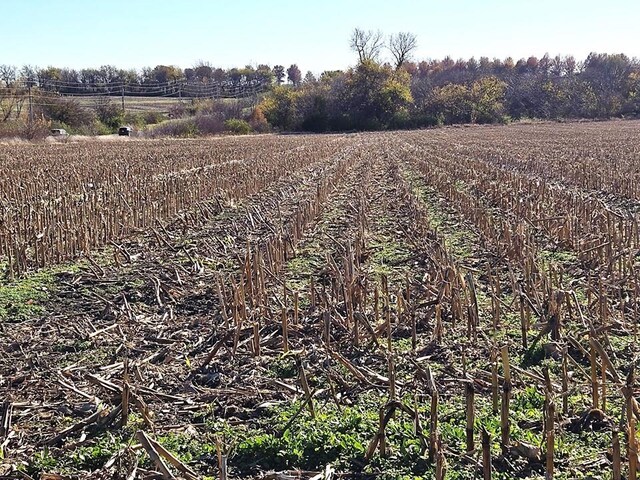 13104 M 7 Hwy, Greenwood, MO 64034 - photo 14