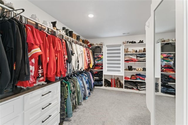 spacious closet with light colored carpet