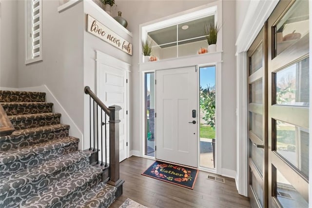 foyer entrance featuring dark wood-type flooring