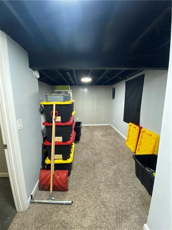 basement featuring carpet floors