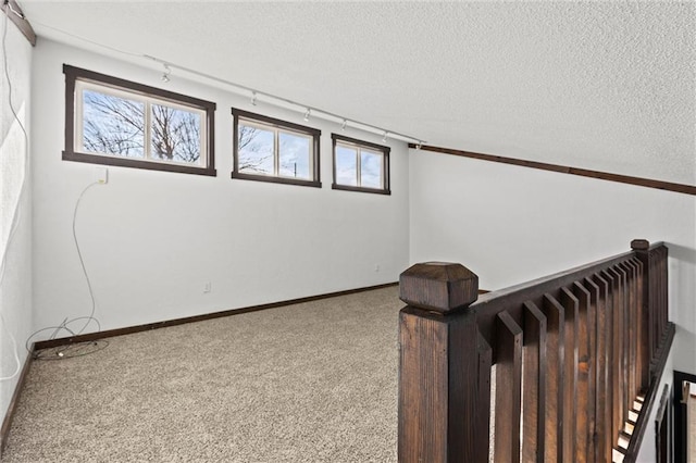 interior space featuring carpet flooring, a textured ceiling, and a wealth of natural light