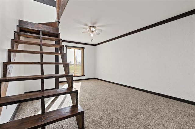 basement with ceiling fan, carpet, and ornamental molding