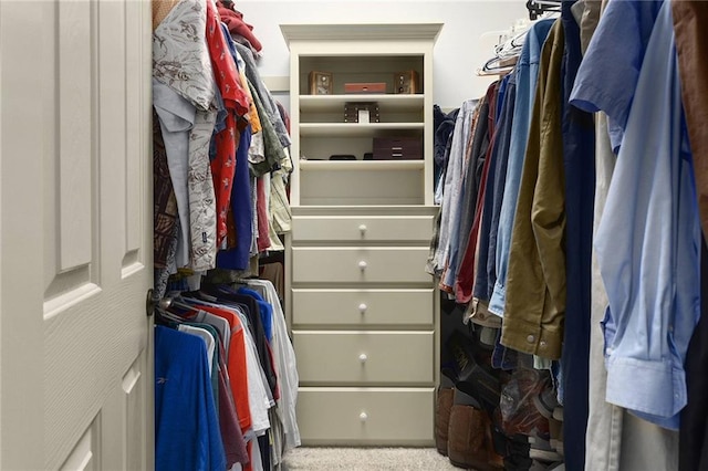 spacious closet with carpet