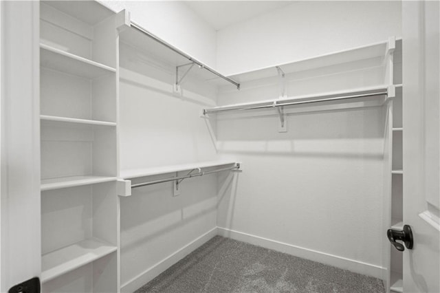 spacious closet featuring dark colored carpet