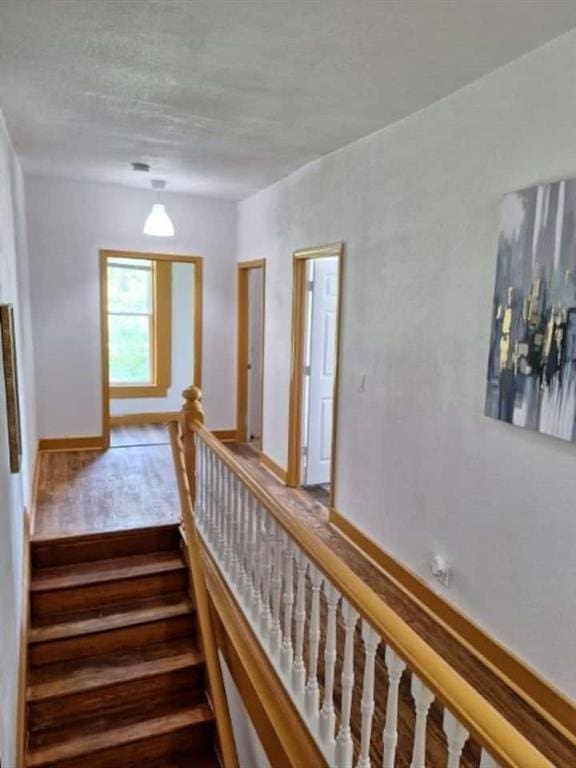 stairway with hardwood / wood-style flooring