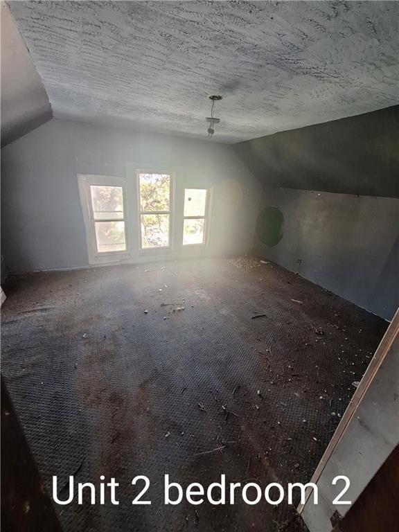 additional living space featuring carpet, a textured ceiling, and lofted ceiling