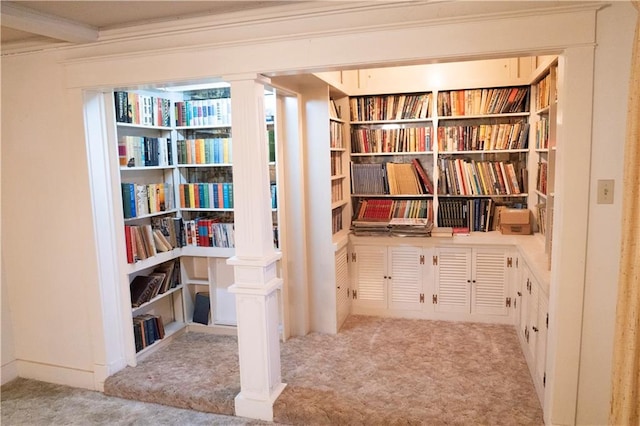 interior space with light colored carpet and ornamental molding