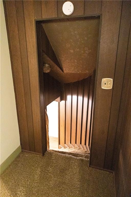 interior details featuring carpet floors and wood walls