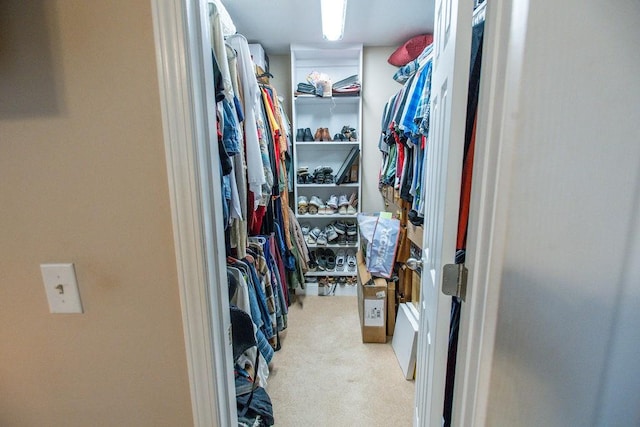 spacious closet featuring light carpet