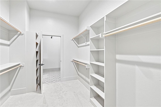 13465 W 174th Pl, Overland Park, KS 66221 - walk in closet with carpet flooring