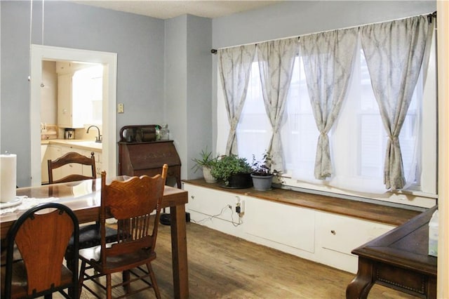 dining space featuring wood-type flooring and sink