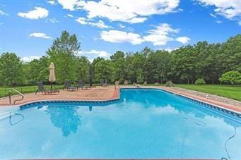 view of swimming pool with a patio