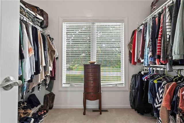 spacious closet featuring light colored carpet