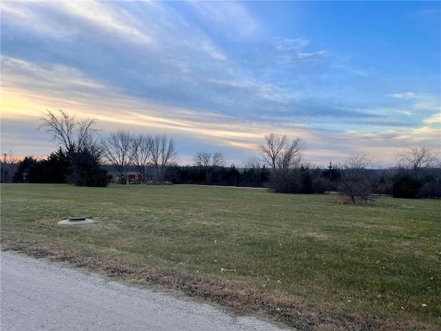 view of yard at dusk