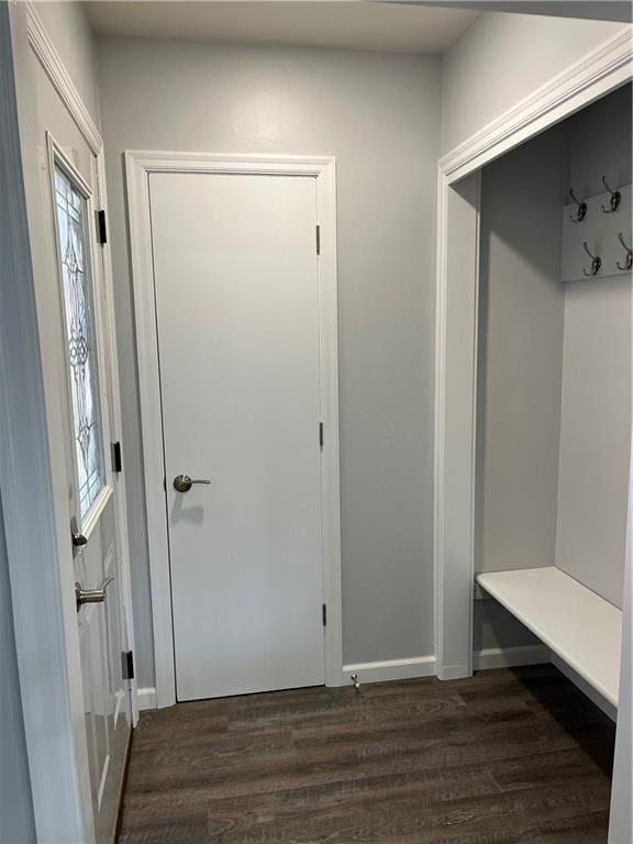 mudroom with dark wood-type flooring