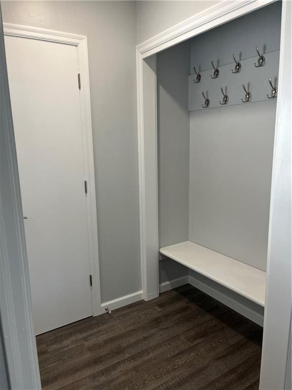 mudroom featuring dark hardwood / wood-style flooring