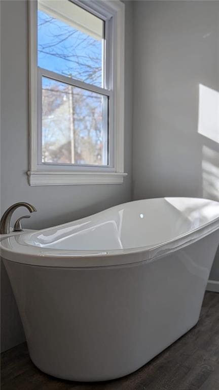 bathroom with a bathtub and hardwood / wood-style floors