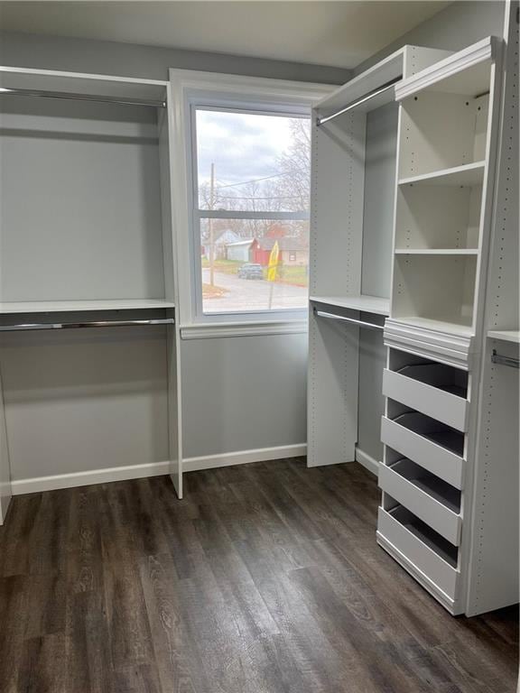 spacious closet with dark wood-type flooring