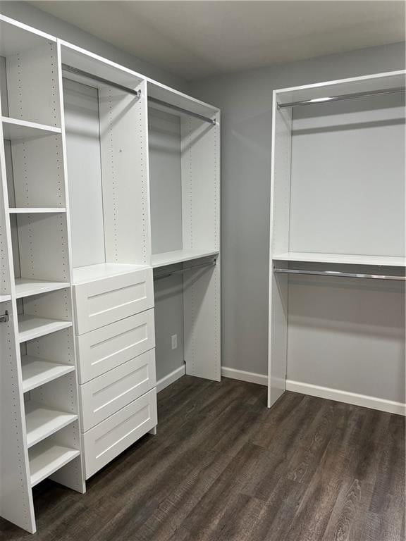 walk in closet with dark hardwood / wood-style floors