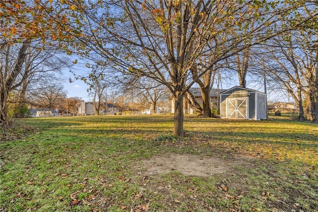 view of yard with a storage shed