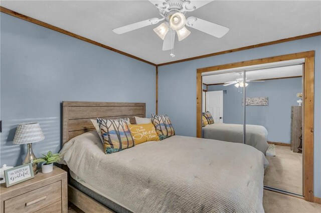 carpeted bedroom with ceiling fan, a closet, and ornamental molding