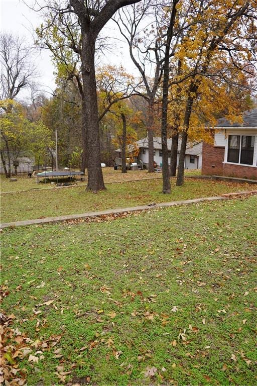 view of yard featuring a trampoline