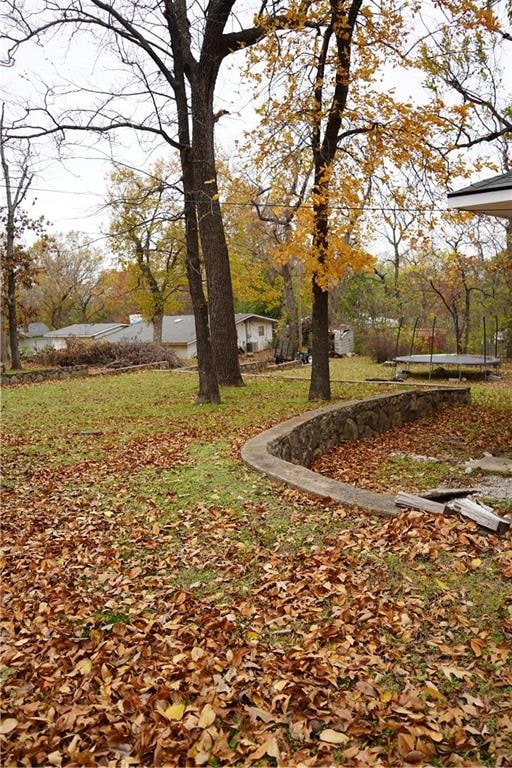 view of yard with a trampoline