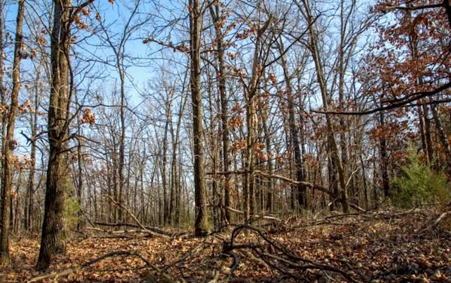 TBD Rainbow Rd, Willow Springs, MO 65793