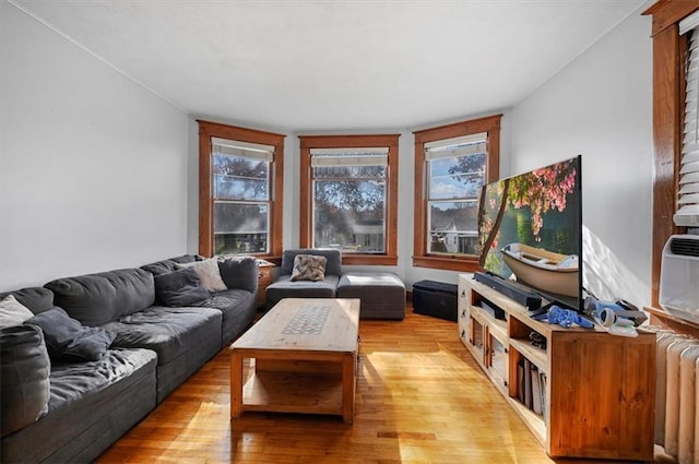 living room with radiator and light wood-style flooring