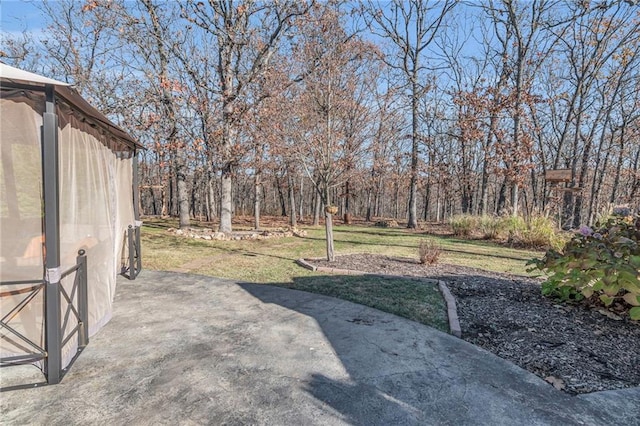 view of yard with a patio area