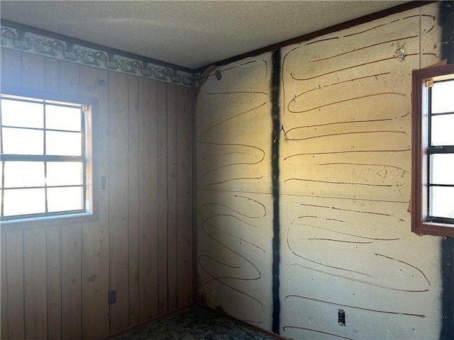 basement featuring a textured ceiling, plenty of natural light, and wooden walls