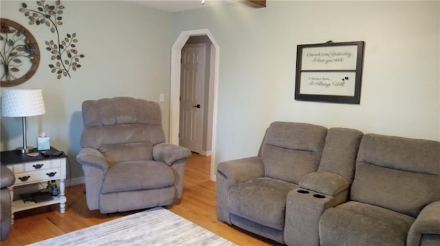 living room featuring wood-type flooring