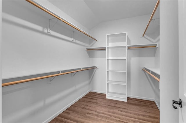 walk in closet with hardwood / wood-style floors