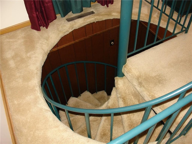 stairway with carpet floors