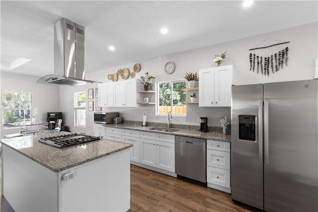 kitchen featuring white cabinetry, island exhaust hood, stainless steel appliances, and sink